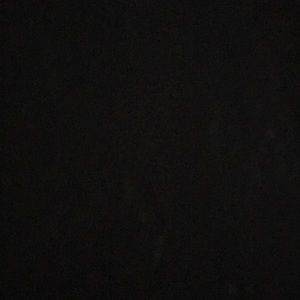 Meet your Posher, Dylan